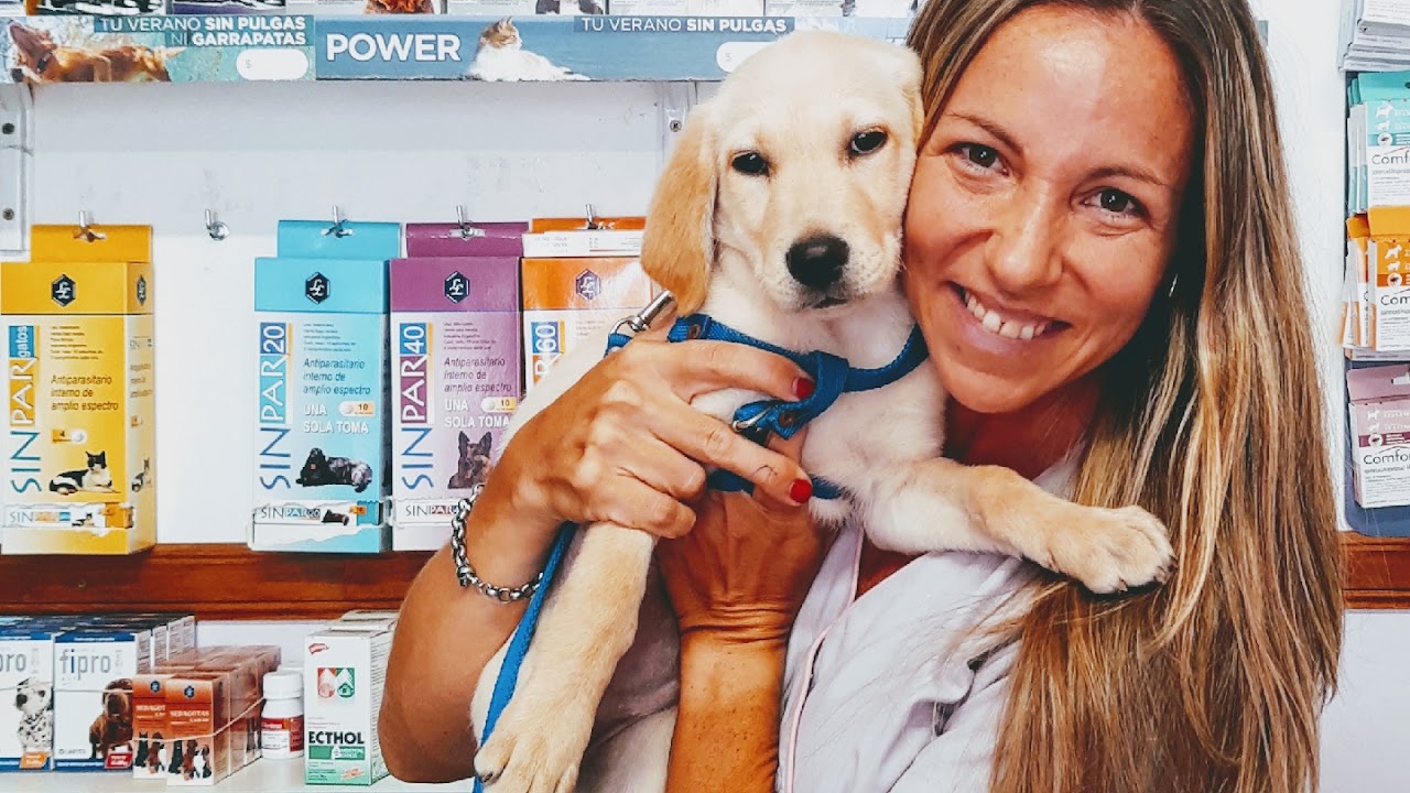 Nuestro equipo atendiendo a un cachorro paciente
